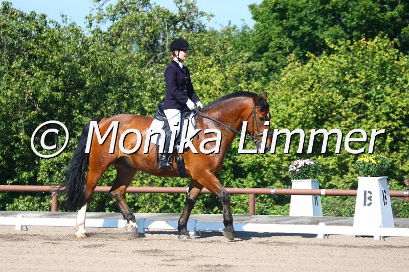 009M1864_Aaron_Dressur E.JPG